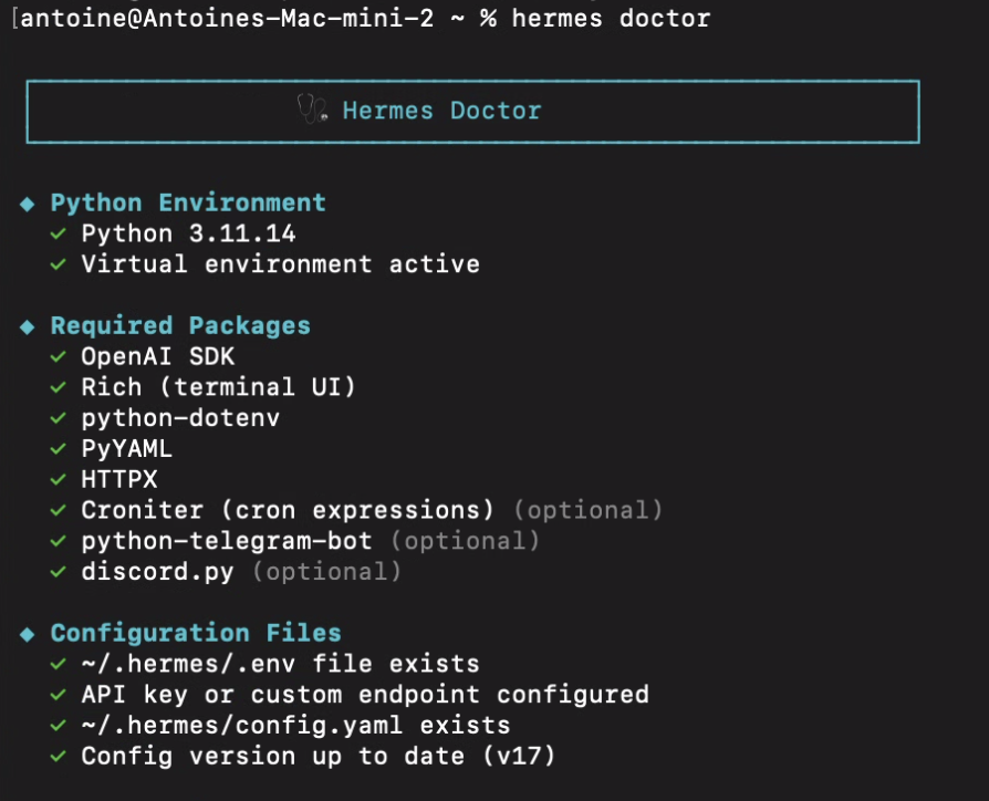 Hermes doctor output validating python environment packages and config files